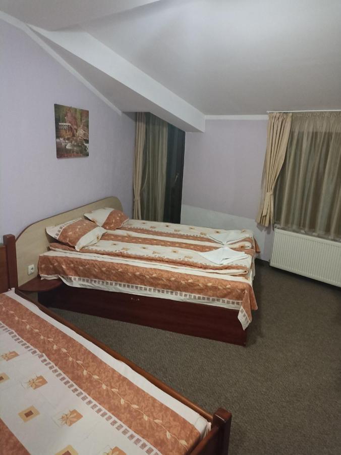 Petar Guest House Bansko Exterior photo